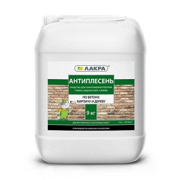 Антиплесень