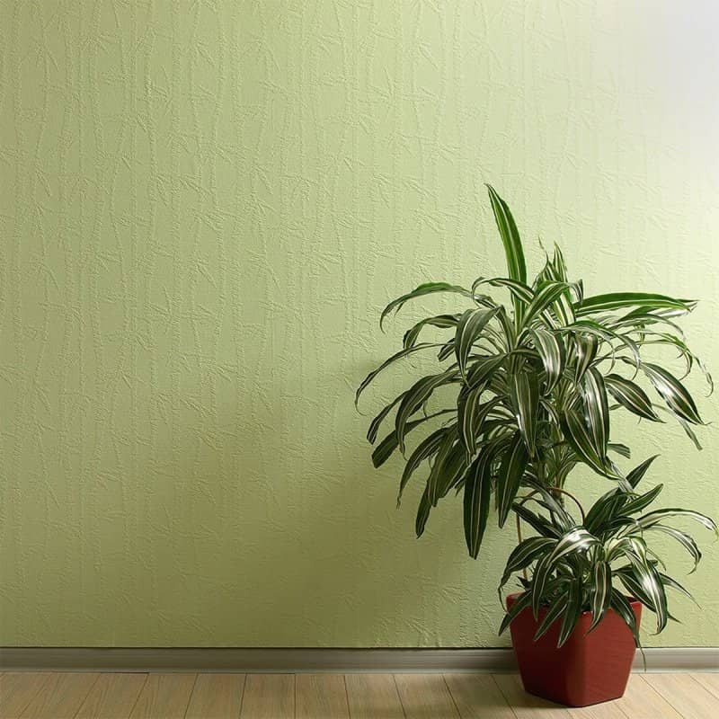 Дизайнерские стеклотканевые обои Wellton Decor WD